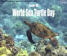Giornata mondiale delle tartarughe marine