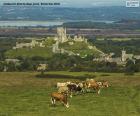 Castello di Corfe, Inghilterra