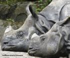 Due rinoceronti a riposo