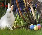 Coniglio bianco e uova di Pasqua