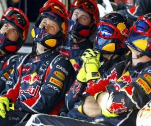 Rompicapo di Red Bull meccanico guardando la gara