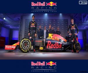 Rompicapo di Red Bull Racing 2016