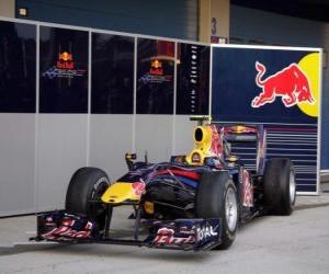 Rompicapo di Red Bull RB6