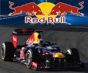 Rompicapo di Red Bull RB8 - 2012 -