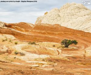 Rompicapo di Red Rock State Park, Stati Uniti