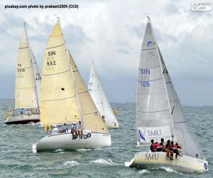 Rompicapo di Regata di barche a vela