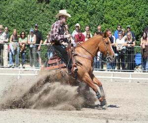 Rompicapo di Reining - monta western - Ride Cowboy