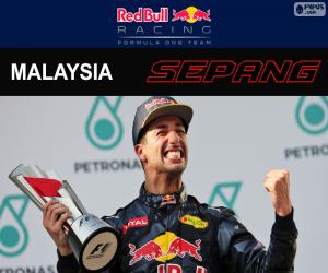 Rompicapo di Ricciardo, GP di Malesia 2016