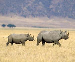 Rompicapo di Rinoceronti neri nella savana