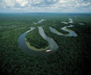 Rompicapo di Rio Amazonas, in materia di conservazione del complesso centrale Amazon, Brasile
