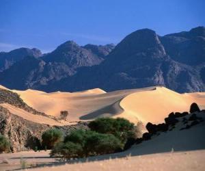 Rompicapo di Riserve Naturali della Air e Tenere, Niger