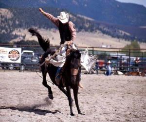 Rompicapo di Rodeo - Cowboy nella prova del cavallo con sella, cavalcando un cavallo selvaggio