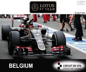 Rompicapo di Romain Grosjean, GP Belgio 2015