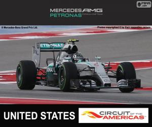 Rompicapo di Rosberg, G. P d'America 2015