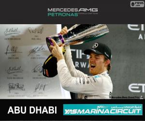 Rompicapo di Rosberg G.P Abu Dhabi 2015