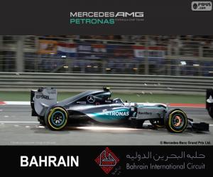 Rompicapo di Rosberg G.P. Bahrein 2015