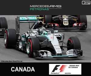 Rompicapo di Rosberg G.P. Canada 2015