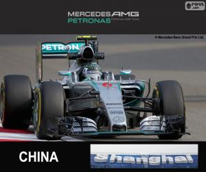 Rompicapo di Rosberg G.P Cina 2015