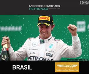 Rompicapo di Rosberg G.P del Brasile 2015