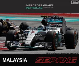 Rompicapo di Rosberg G.P. Malesia 2015