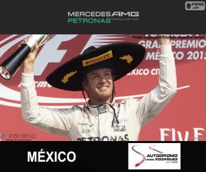 Rompicapo di Rosberg G.P. Messico 2015