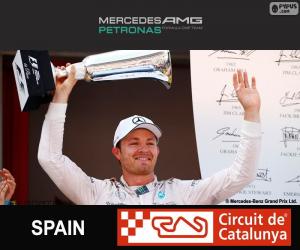 Rompicapo di Rosberg G.P Spagna 2015