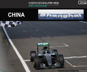 Rompicapo di Rosberg Gran Premio Cina 2016