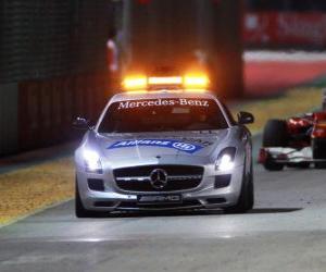 Rompicapo di Safety car - Singapore 2010