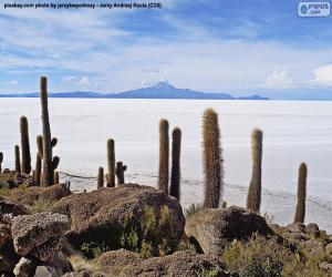 Rompicapo di Salar de Uyuni, Bolivia