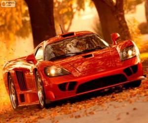 Rompicapo di Saleen S7 Twin Turbo