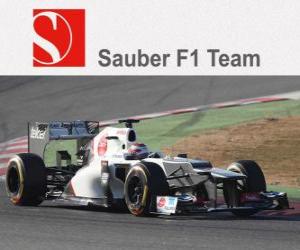 Rompicapo di Sauber C31 - 2012 -