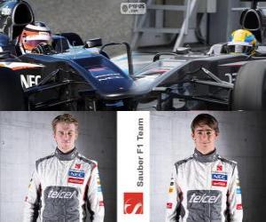 Rompicapo di Sauber F1 Team 2013