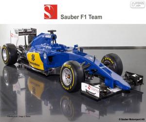 Rompicapo di Sauber F1 Team 2015