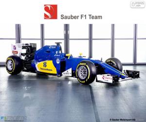 Rompicapo di Sauber F1 Team 2016