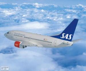 Rompicapo di Scandinavian Airlines System, è una compagnia multinazionale
