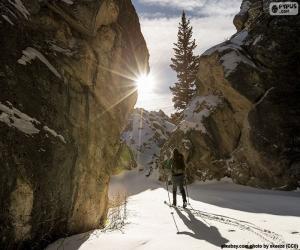 Rompicapo di Sci di montagna