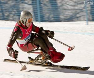 Rompicapo di Sciatora paralimpica nella competizione di slalom