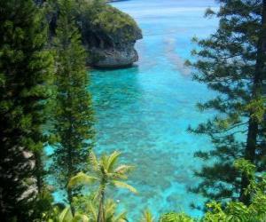 Rompicapo di Scogliere e gli ecosistemi, l'arcipelago francese della Nuova Caledonia, situata nell'Oceano Pacifico.