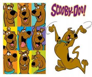 Rompicapo di Scooby-Doo, il cane di razza Alano o Gran Danese che parla più famoso e l'eroe di tante avventure