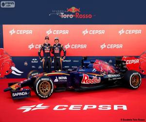 Rompicapo di Scuderia Toro Rosso 2015