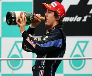 Rompicapo di Sebastian Vettel festeggia la sua vittoria a Sepang, Gran Premio della Malesia (2010)