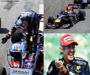Rompicapo di Sebastian Vettel festeggia la sua vittoria al Gran Premio del Brasile (2010)