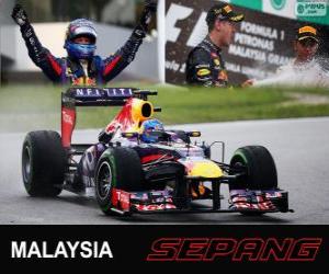 Rompicapo di Sebastian Vettel festeggia la vittoria nel Gran Premio della Malesia 2013