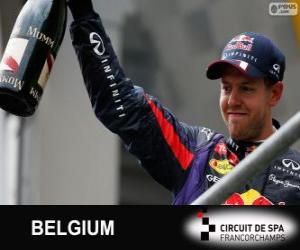Rompicapo di Sebastian Vettel festeggia la vittoria nel Grande Prémio do Belgio 2013