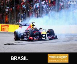 Rompicapo di Sebastian Vettel festeggia la vittoria nel Gran Premio del Brasile 2013