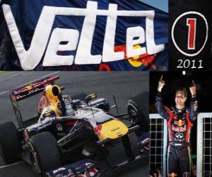 Rompicapo di Sebastian Vettel, Formula 1 Campione del Mondo 2011 con la Red Bull Racing, è il più giovane campione del mondo