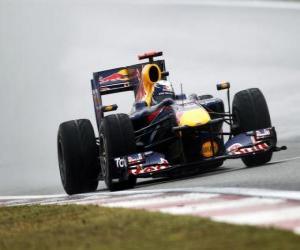 Rompicapo di Sebastian Vettel - Red Bull - Shanghai 2010