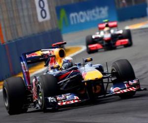 Rompicapo di Sebastian Vettel - Red Bull - Valencia 2010