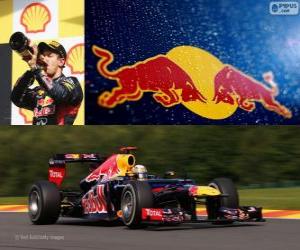 Rompicapo di Sebastian Vettel - Red Bull - Gran Premio del Belgio 2012, 2 ° classificato