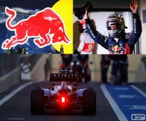 Rompicapo di Sebastian Vettel - Red Bull - Gran Premio di Abu Dhabi 2012, 3 ° classificato